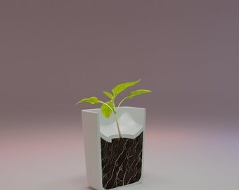 Confined Flower Pot :Desktop Plant
