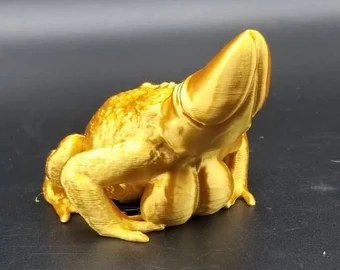 Dick Frog