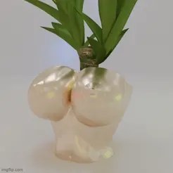 Boob Flower Pot Planter Box
