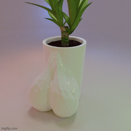 Nut Sack Planter Box | Balls Flower Pot
