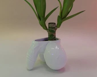 Penis Flower Pot