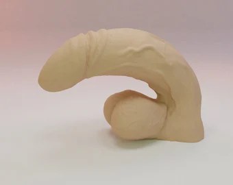 Flaccid Penis