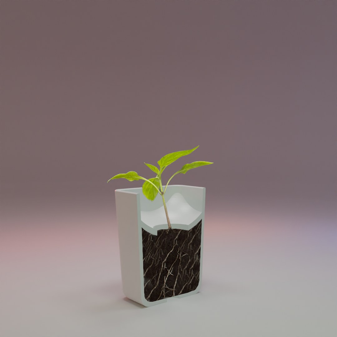 Confined Flower Pot For Cactus Or Desktop Plant digital 3D model preview