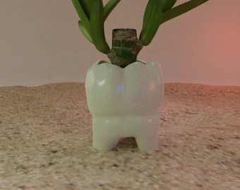 Tooth Pot digital 3D model preview
